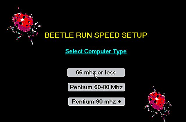 Beetle Run DOS Game