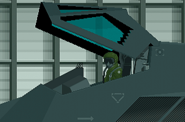 F-117A Nighthawk Stealth Fighter 2.0 DOS Game