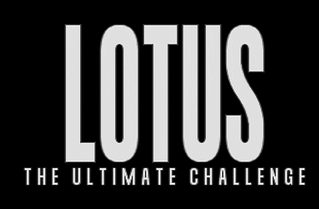 Lotus 3 DOS Game