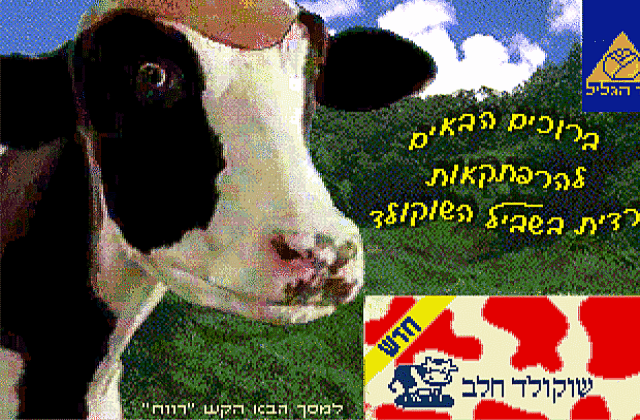 Adventures of Vardit on the Chocolate Trail, The DOS Game